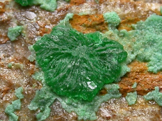 フィリップスバーグ石