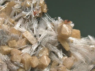 ポルダーバールタイト