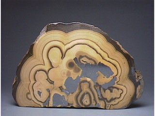 シャーレンブレンド