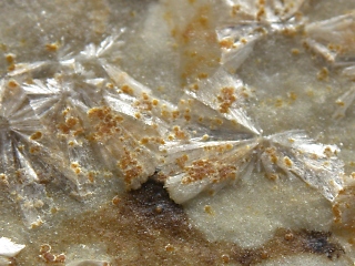 ファンタッセル石