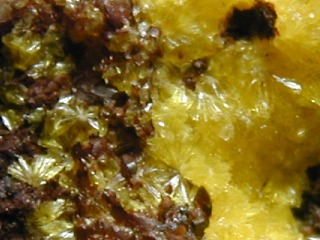 ウィークサイト