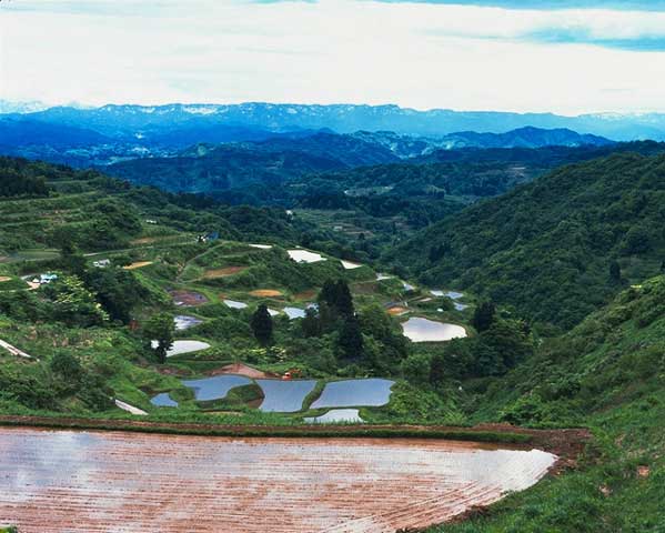 花板の棚田