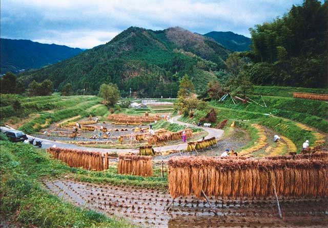 神奈備の里/稲渕