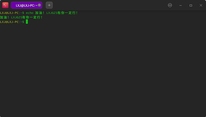 运行自定义命令