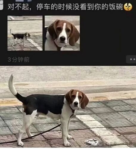 a5f9293d84ca0e59a21dceea73c5e32