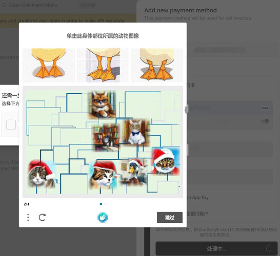 PixPin_2025-02-17_10-19-22