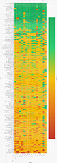 Slang S_Final Heatmap