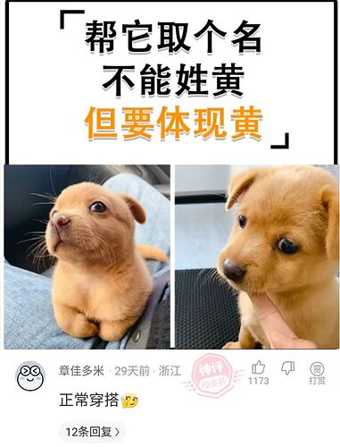 adf6d0a879b6dc4ed7e3f0a734b00a1