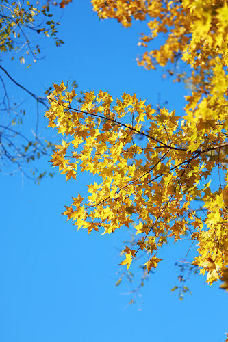 7e14b1cffb365a29a3a9d459319756ef