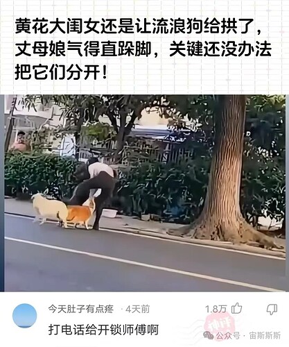 0475273a321140916778ee8ccd6eb45