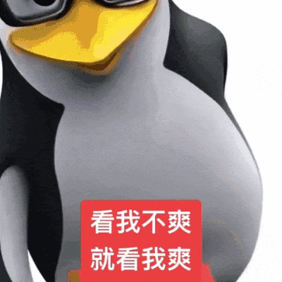 IMG_20251203_110415_088