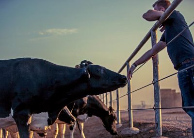 CDQAP Ruminations: How stockmanship training for employees can improve your bottom line