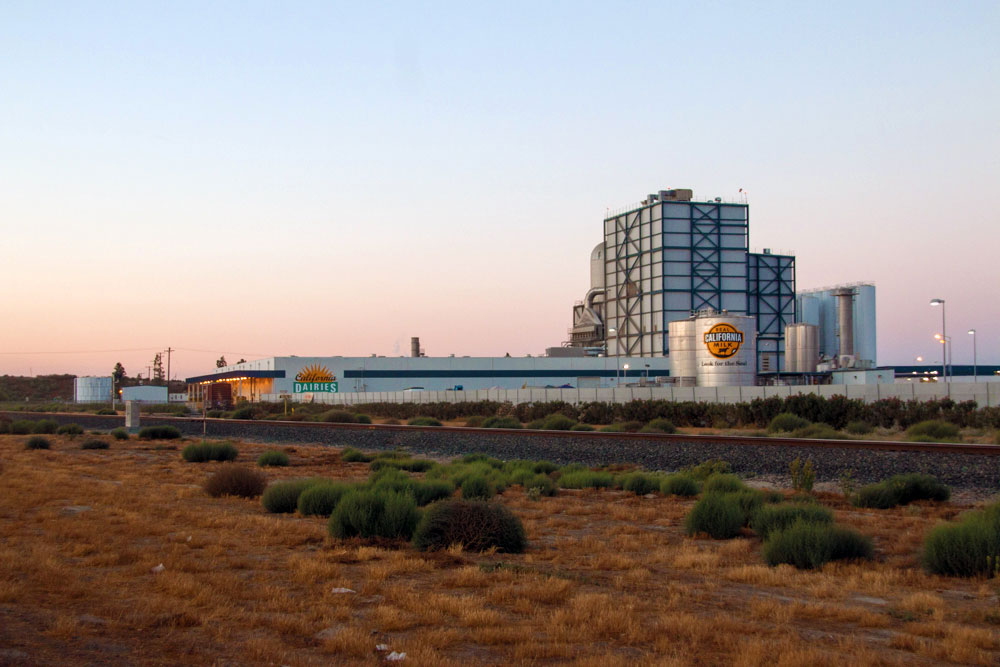 Dairy Social Responsibility