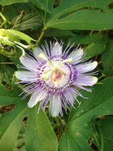 BlogPic8