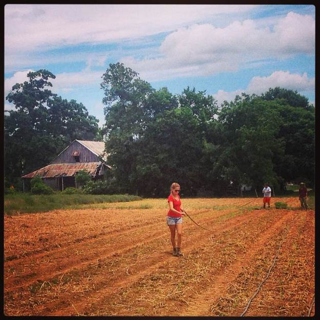 Jessica, Justin, and Ray laying out drip-tape for the summer field of a former apprentice.