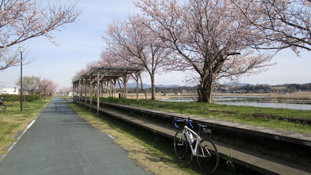 りんりんロード虫掛休憩所