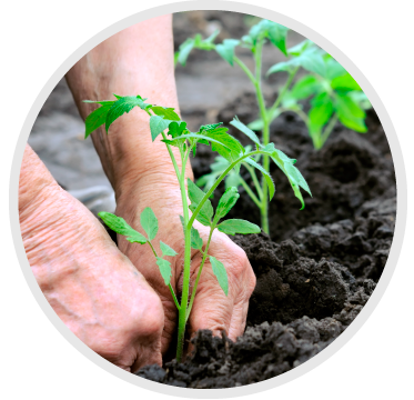 Mundo Agrícola Chemie