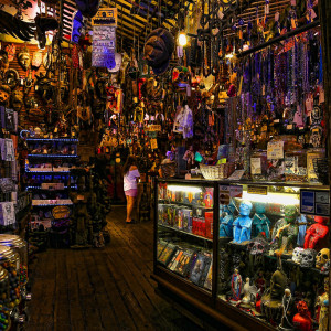 Little Shop of Curses