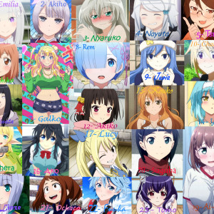 The Waifu Catalog