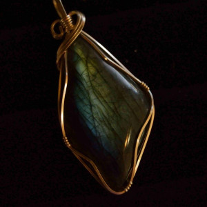 Vom Mitbewohner kontrolliert