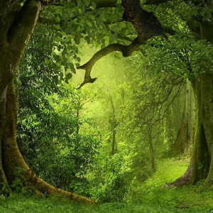 Another Chance in Another World