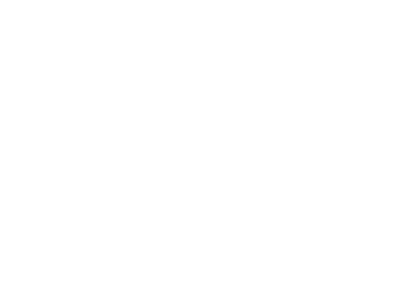 factory weights