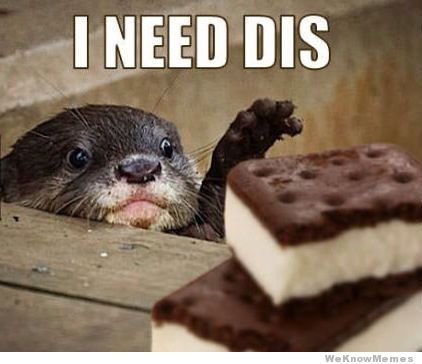 i-need-dis-otter