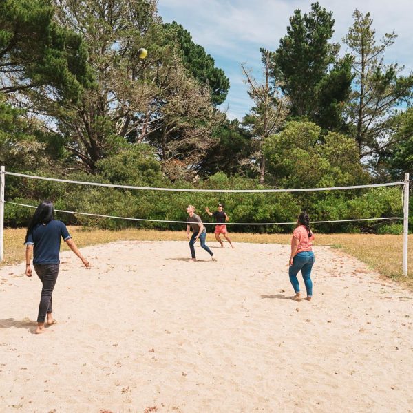 SchafferLab20th_July2019-25