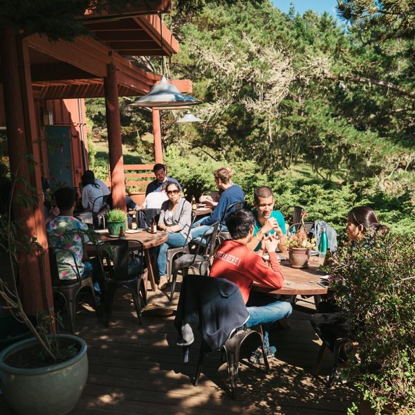 SchafferLab20th_July2019-35