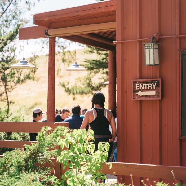 SchafferLab20th_July2019-47