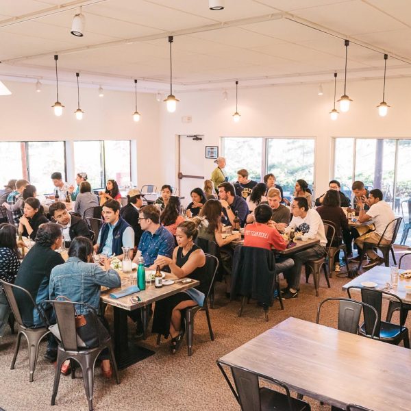 SchafferLab20th_July2019-74