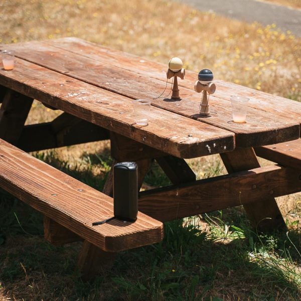 SchafferLab20th_July2019-8