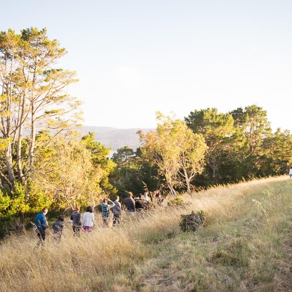 SchafferLab20th_July2019-98