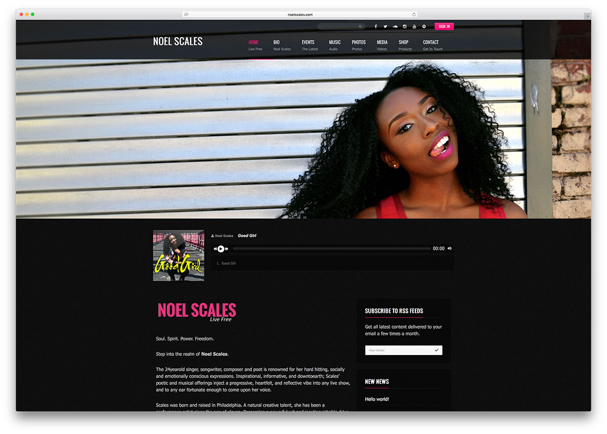 noelscales-website-using-visual-composer-for-wordpress