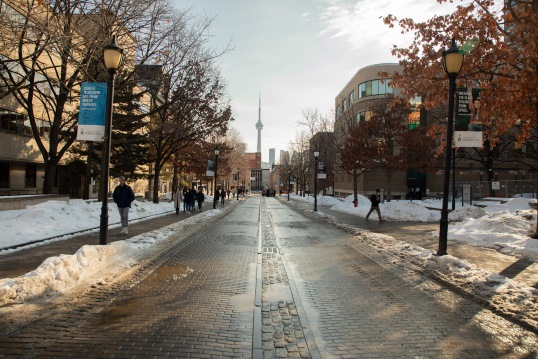 Announcing the Institutional Anti-Black Racism Task Force