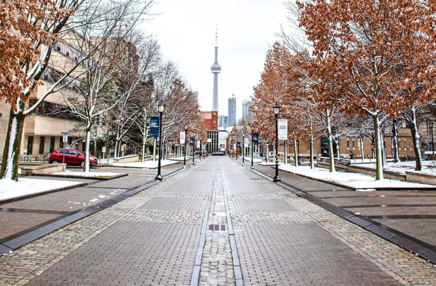 U of T launches working group to combat antisemitism on campus