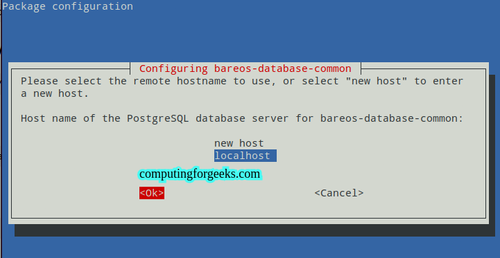 Install Bareos Backup on Debian 13 / Debian 12 3 Selecting PostgreSQL database server for Bareos catalog