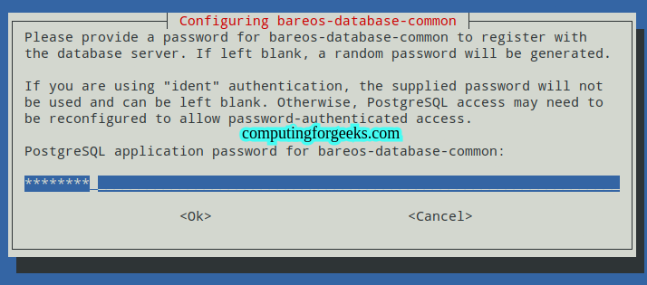 Install Bareos Backup on Debian 13 / Debian 12 4 Setting the PostgreSQL password for Bareos database