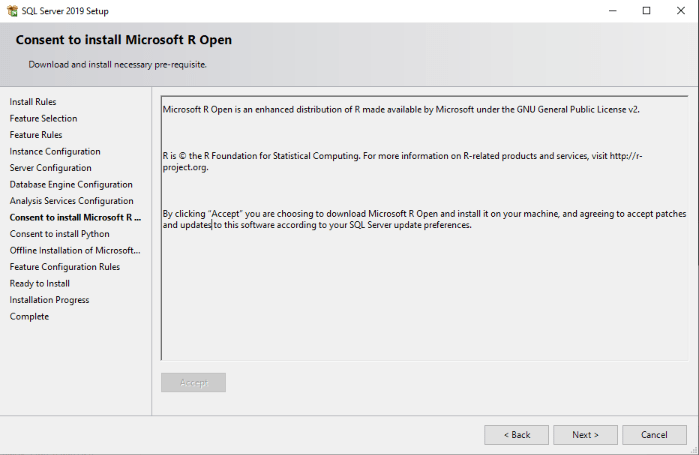 Install SQL Server 2019 Developer on Windows Server 2022 19 sqlserver2019 Rust analysis install 17 2