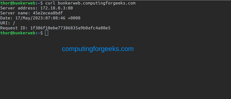 Running Nginx in Docker Container using BunkerWeb 2 Nginx Web Server in Docker Container using BunkerWeb 1