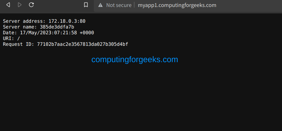 Running Nginx in Docker Container using BunkerWeb 5 Nginx Web Server in Docker Container using BunkerWeb 3
