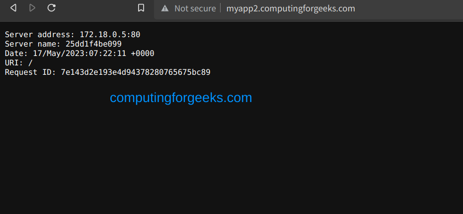 Running Nginx in Docker Container using BunkerWeb 6 Nginx Web Server in Docker Container using BunkerWeb 4