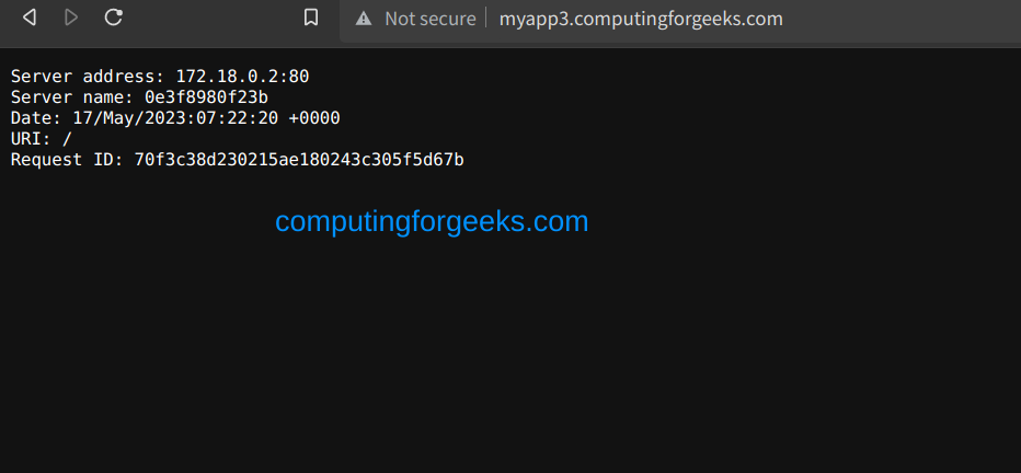 Running Nginx in Docker Container using BunkerWeb 7 Nginx Web Server in Docker Container using BunkerWeb 5