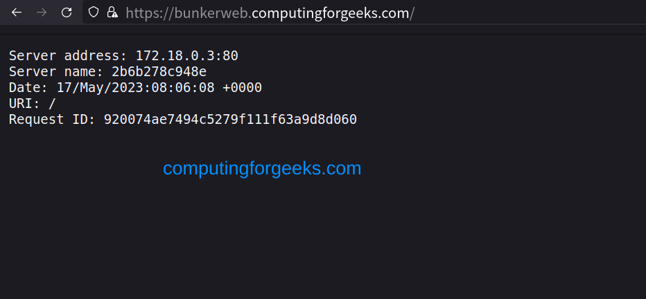 Running Nginx in Docker Container using BunkerWeb 8 Nginx Web Server in Docker Container using BunkerWeb 6