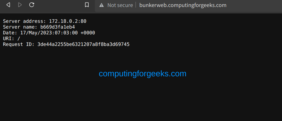 Running Nginx in Docker Container using BunkerWeb 3 Nginx Web Server in Docker Container using BunkerWeb