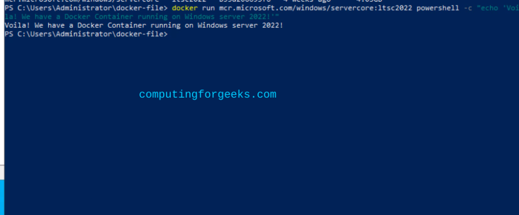 Using Docker and Docker Compose on Windows Server 2022 13 Use Docker and Docker Compose on Windows Server 2022 11