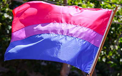 When Bisexual People Marry