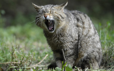 How to Speak Up Against Casual Hate