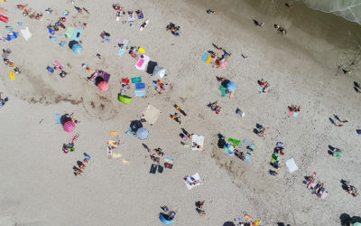 Beyond Terminology: Zooming Out to Focus on Bias