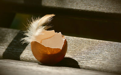 Are “Fetus” and “Unborn Child” Interchangeable?